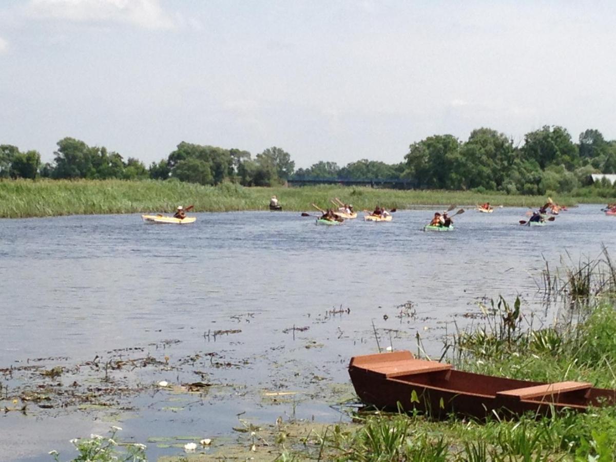 Luxuszelt Pole Namiotowe Nad Rzeka Biebrza W Goniadzu Goniądz
